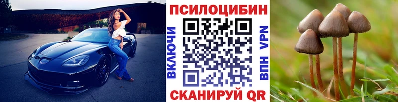 kraken зеркало  Гусиноозёрск  Псилоцибиновые грибы MAGIC MUSHROOMS 